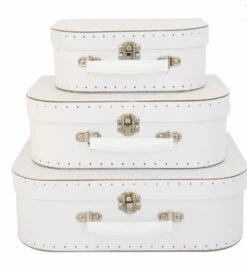 Suitcase Storage Boxes & Decor