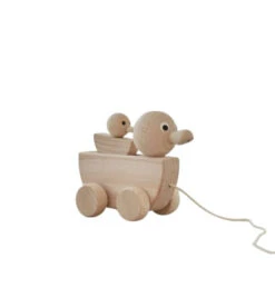 Abigal Duck And Duckling