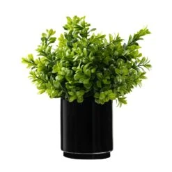 Black Glass Boxwood