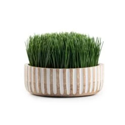 Grass Wood Pot