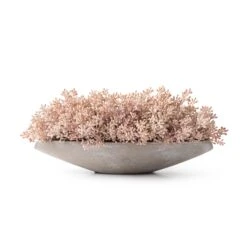 Callisia Pink Seeded Arrangement