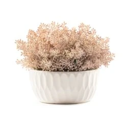Pell Textured Pink Seed Arrangment