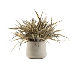 Grey Grass Pot