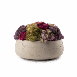 Floral Taupe Eileen Decor