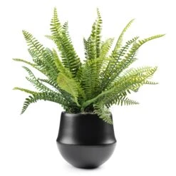 Fern Floral Pot