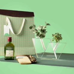 Grand Glass Vase Set