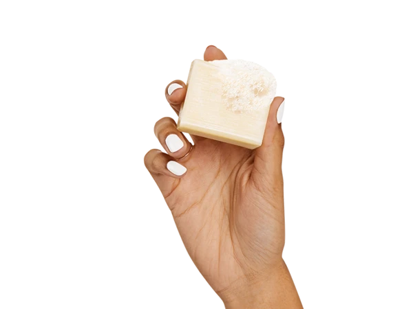 Beekman Bar - Image 2