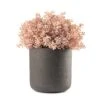 Pink Seed Pot