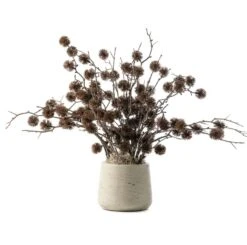 Black Thistle In Patt Gray Pot